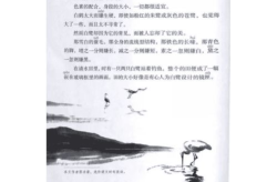 五年级上册白鹭教案,探索自然之美，感悟生命之诗