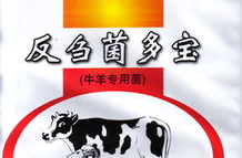 反刍饲料牛羊专用,助力牛羊高效养殖的专用饲料解析