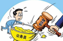 公务员是干什么的,国家治理的基石与公共服务的主力军