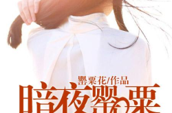 旧夜星火小说,青梅竹马与双重人格的救赎之旅